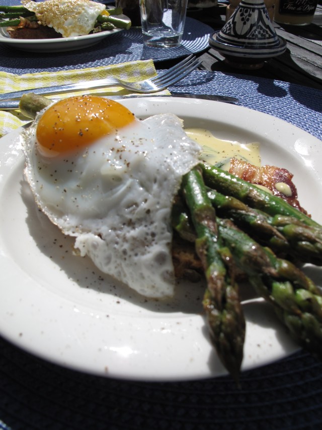 Opin samloka - aspas